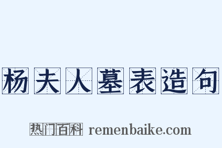 杨夫人墓表造句是什么意思的图片